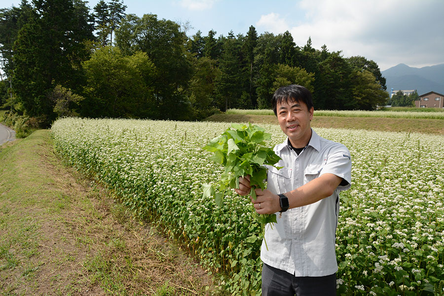 青汁に使用する植物原料