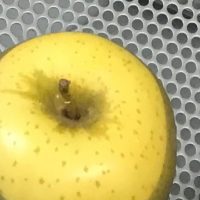 林檎のペクチン