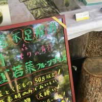 青汁を試飲していただきました。森のJAZZにて