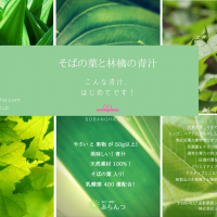 スタッフさんが教えてくれたこと