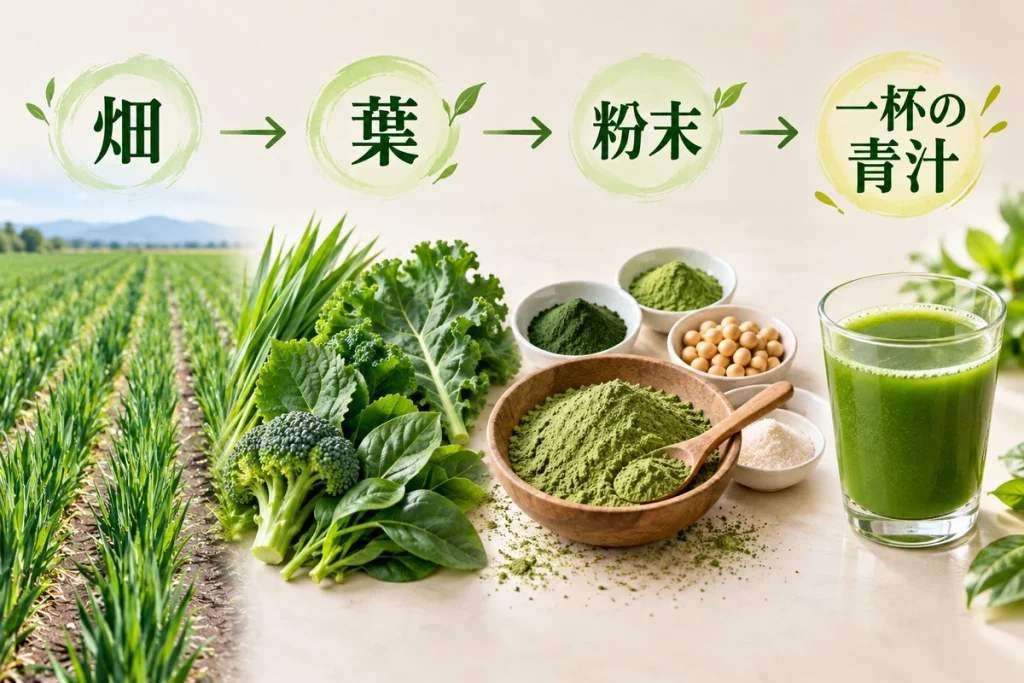 畑から青汁の葉、粉末、青汁へ