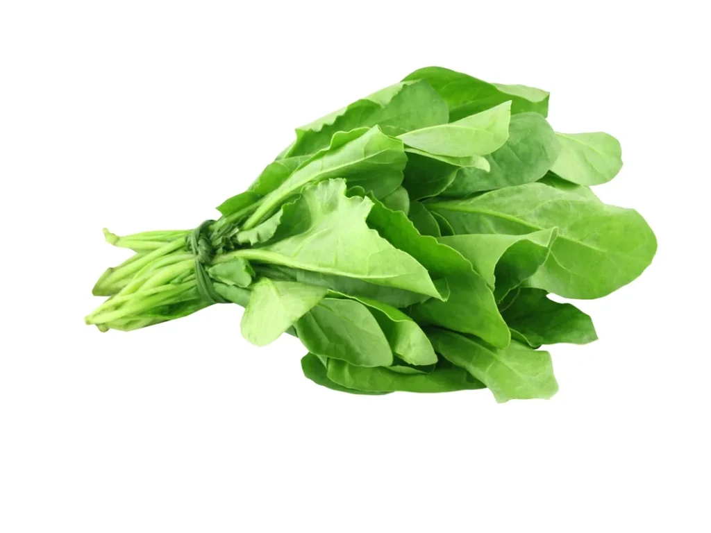 ほうれん草