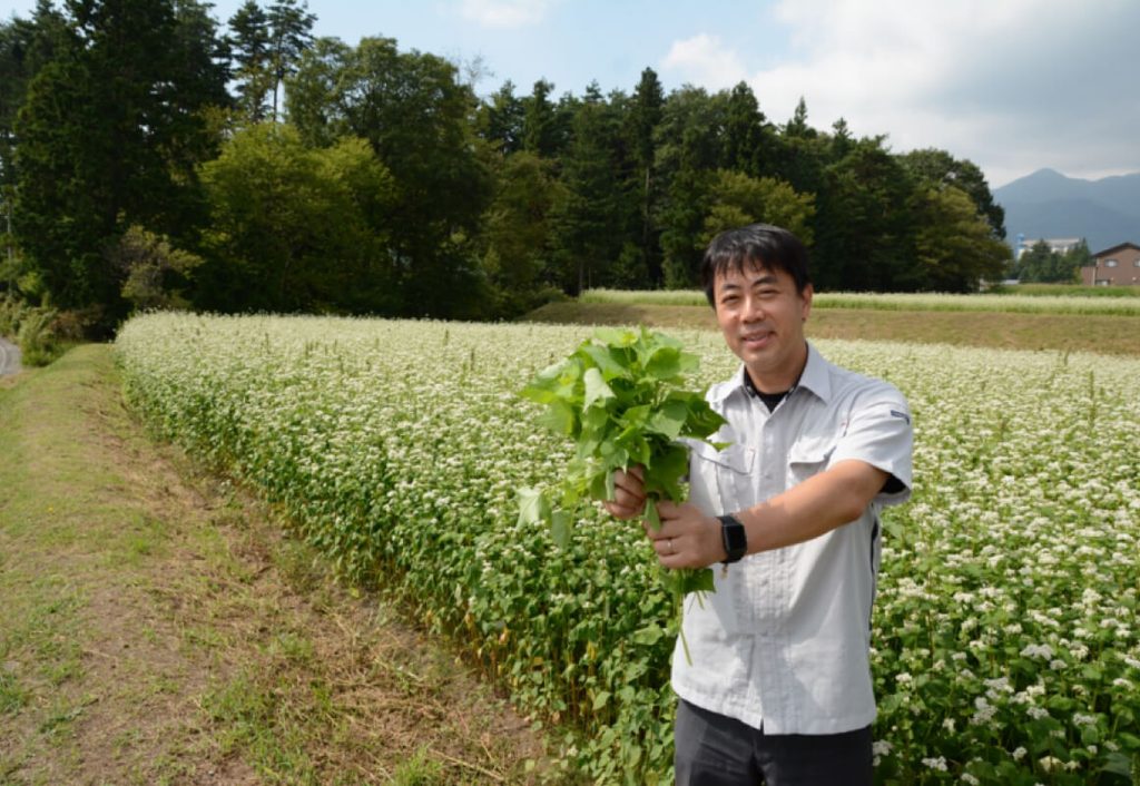ぷらんつの青汁　安心安全